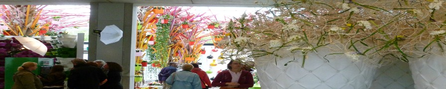 Floraide - Floral displays
