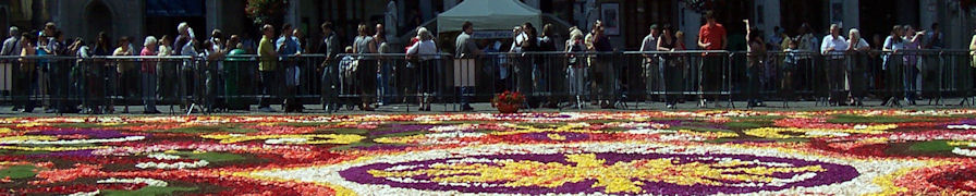 Carpet of Flowers viewing